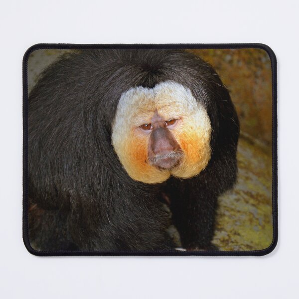Item preview, White Faced Saki Monkey  designed and sold by Savannah Gibbs.
