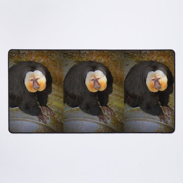 Item preview, White Faced Saki Monkey  designed and sold by Savannah Gibbs.