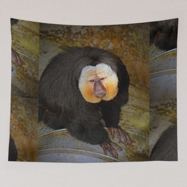 Item preview, White Faced Saki Monkey  designed and sold by Savannah Gibbs.