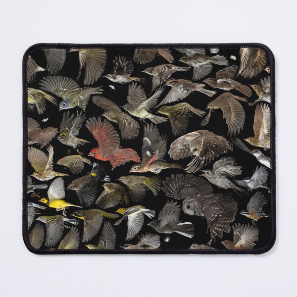 Item preview, Birds of Ontario compilation designed and sold by brendonstuff.