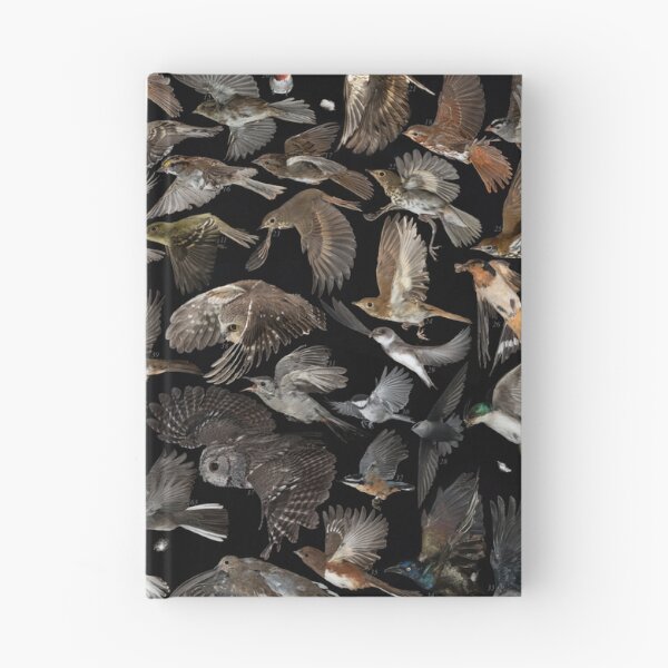 Item preview, Birds of Ontario compilation designed and sold by brendonstuff.