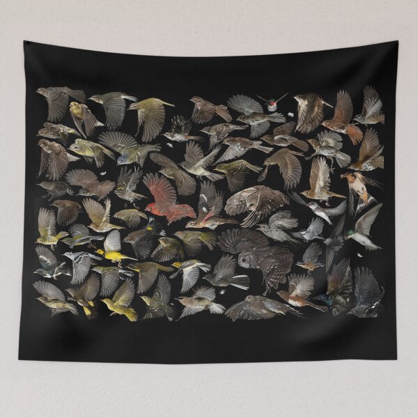 Item preview, Birds of Ontario compilation designed and sold by brendonstuff.