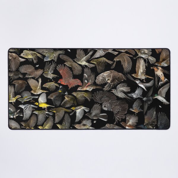 Item preview, Birds of Ontario compilation designed and sold by brendonstuff.