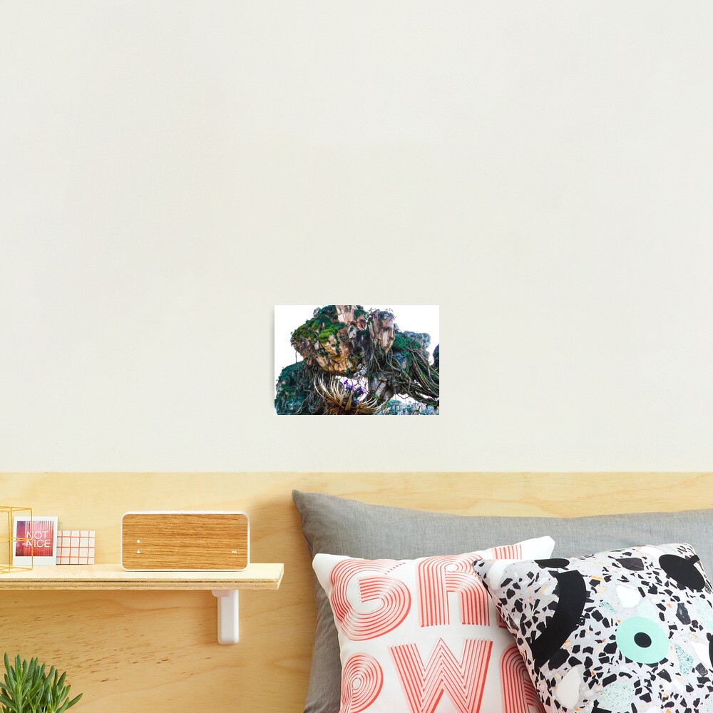 Item preview, Photographic Print designed and sold by meghan-98.