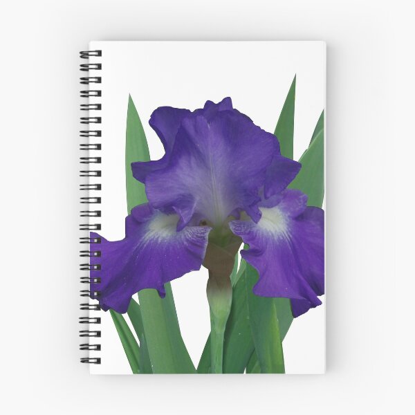 Aperçu de l'œuvre Iris bleu-violet, lumières stellaires créée et vendue par rvjames.