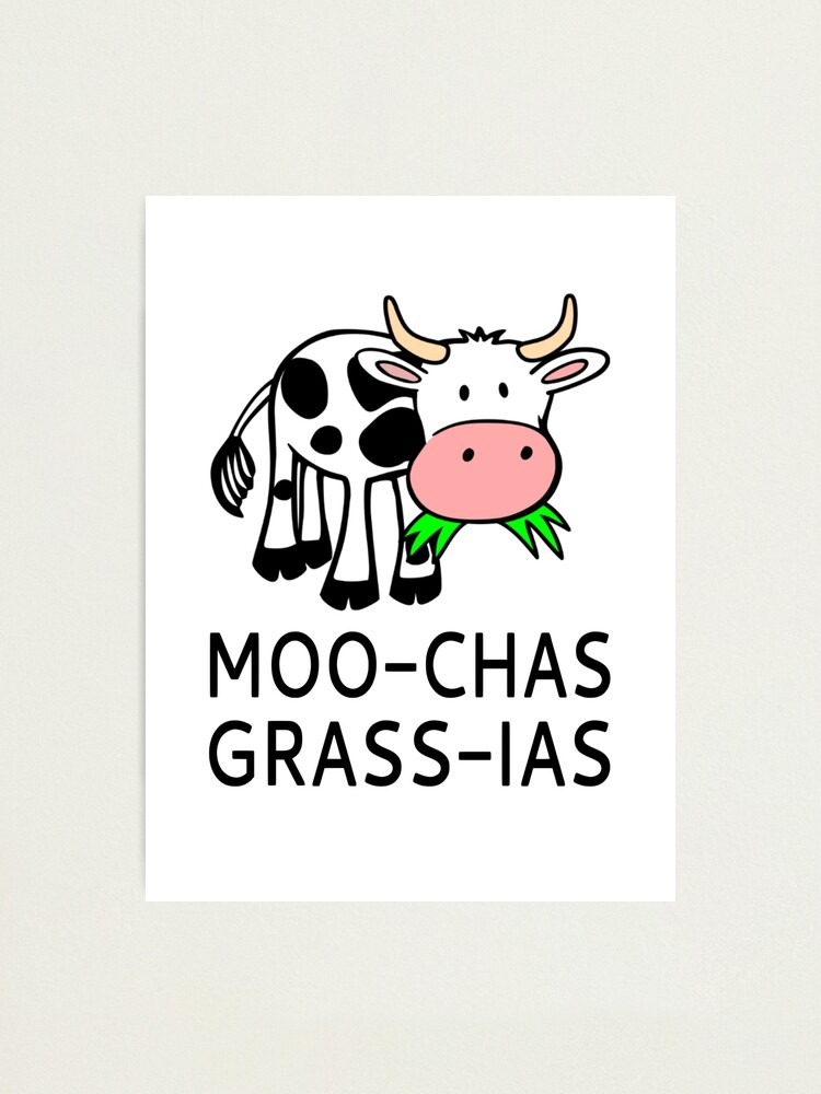 Moo Chas Grass Ias Muchas Gracias Fotodruck Von Coolfuntees