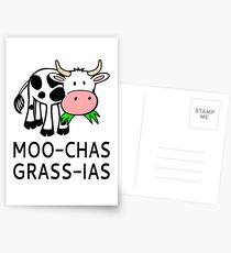 Moo-chas Grass-ias (Muchas Gracias) Postcards