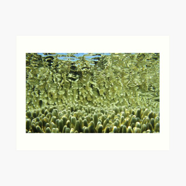 Golden tips Art Print