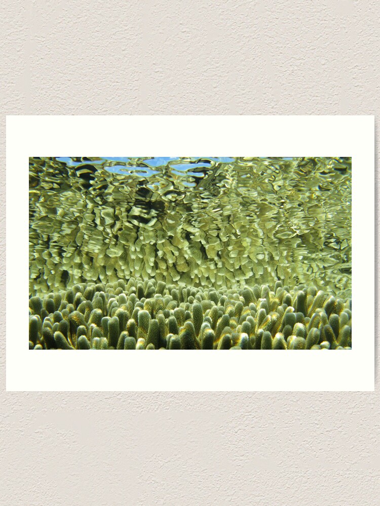 Alternate view of Golden tips Art Print