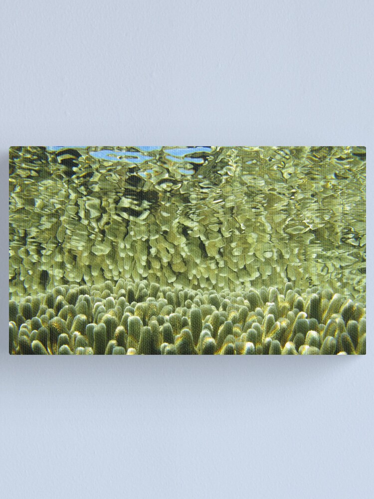 Alternate view of Golden tips Canvas Print