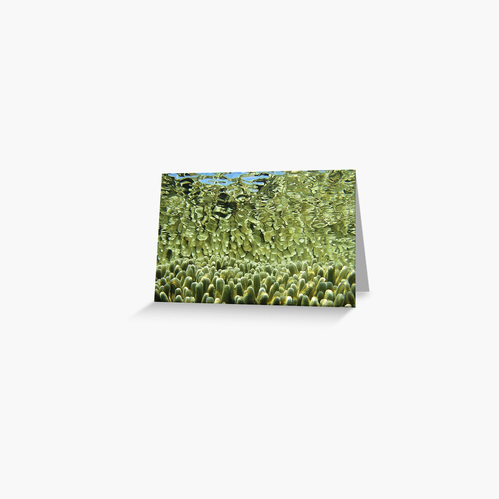 Golden tips Greeting Card
