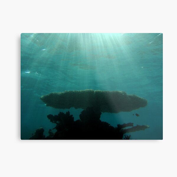 Mermaid's Table Metal Print