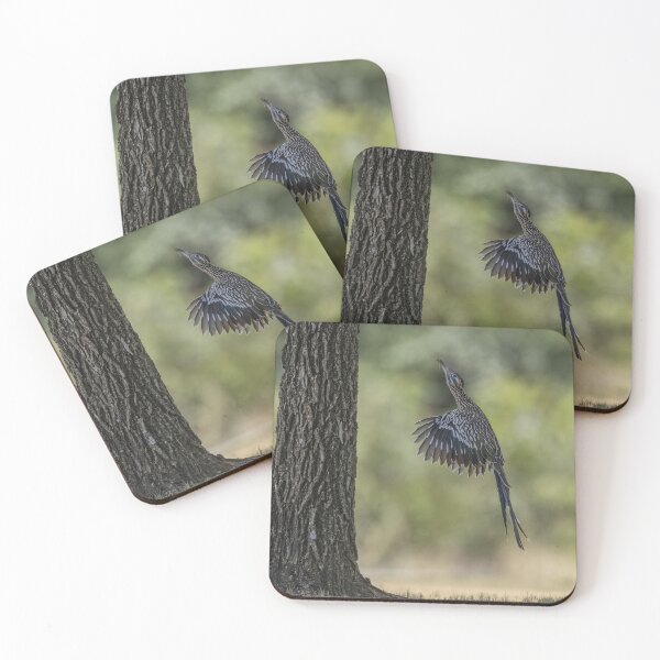 Item preview, Mamá Correcaminos llevando comida a sus bebés designed and sold by Puttaswamy Ravishankar.