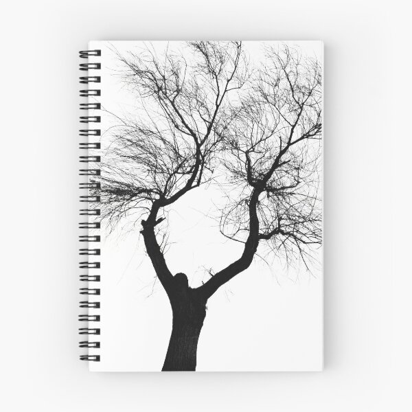 Item preview, Black and white tree image with the background removed designed and sold by sabanuluca.