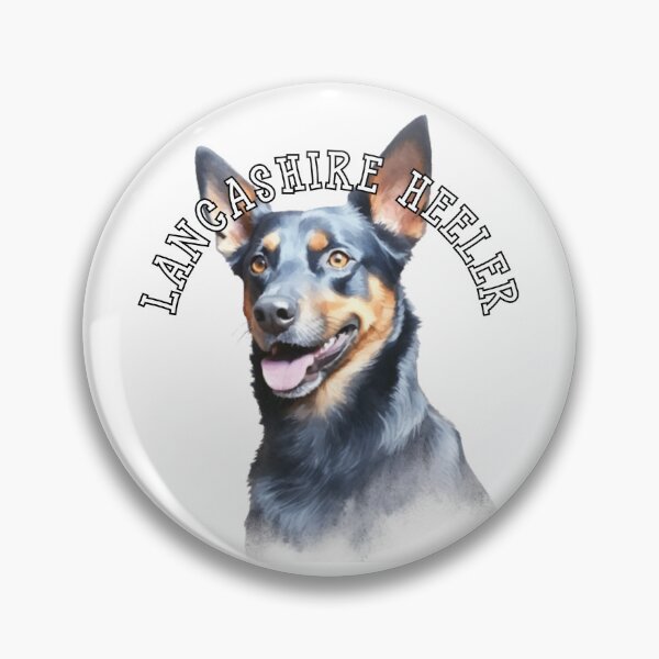 Item preview, lancashire heeler designed and sold by Tee Studio.