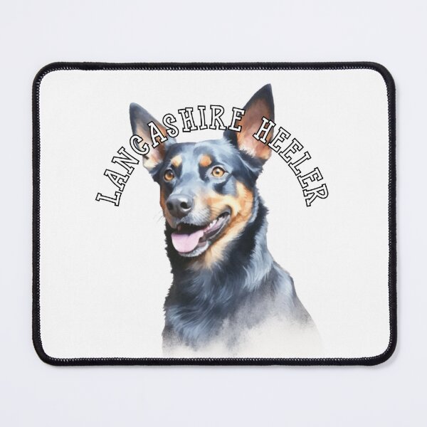 Item preview, lancashire heeler designed and sold by Tee Studio.