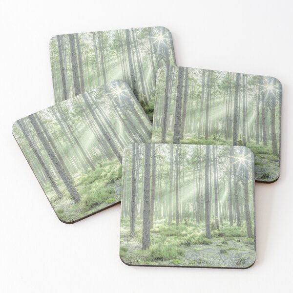 Item preview, Forest Sunburst designed and sold by assaf.