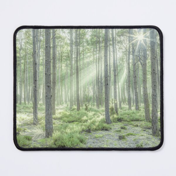 Item preview, Forest Sunburst designed and sold by assaf.