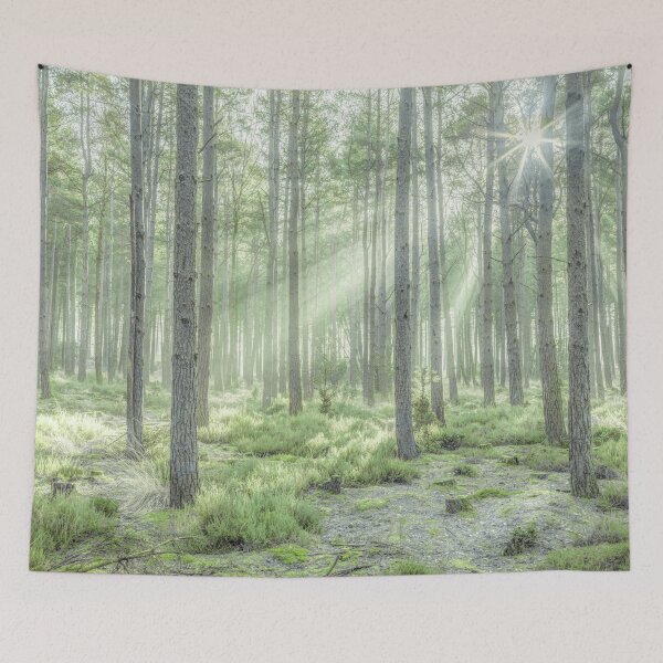 Item preview, Forest Sunburst designed and sold by assaf.
