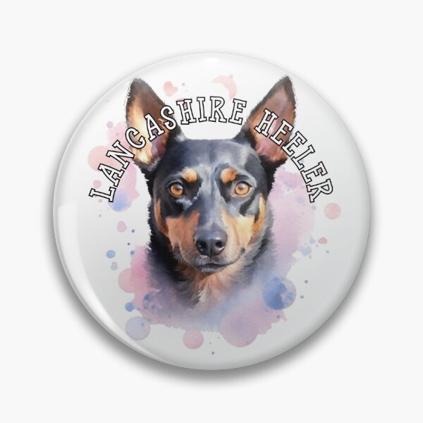 Item preview, lancashire heeler designed and sold by Tee Studio.