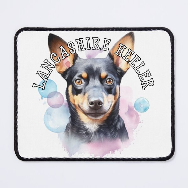 Item preview, lancashire heeler designed and sold by Tee Studio.