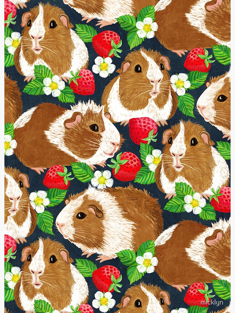 Guinea pigs outlet and strawberries