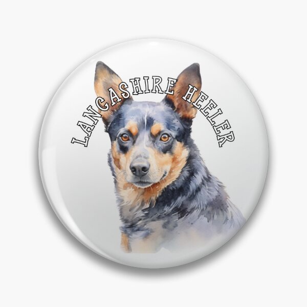 Item preview, lancashire heeler designed and sold by Tee Studio.