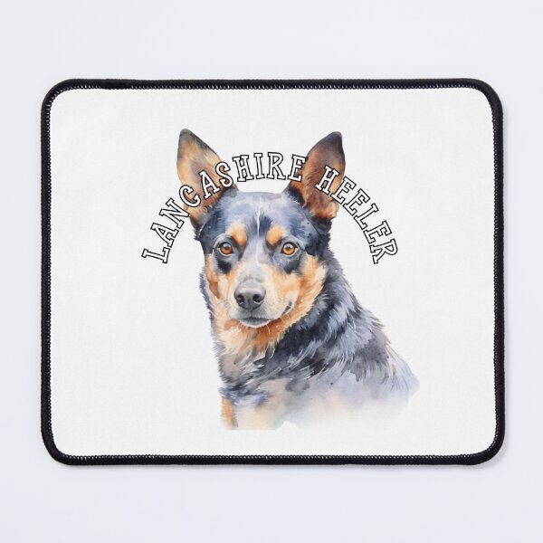 Item preview, lancashire heeler designed and sold by Tee Studio.