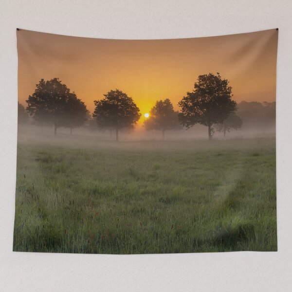 Item preview, Misty Sunrise designed and sold by assaf.
