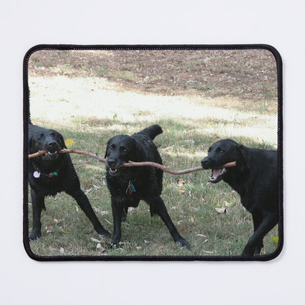 Item preview, The Branch Managers designed and sold by Denzil.