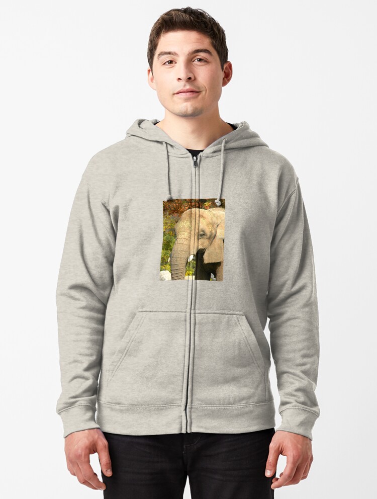 Mens Bertha The Elephant And Her Visitor Hooded Sweatshirt Funny Printed Pullover Hoodies Classic Long Sleeve T Shirt