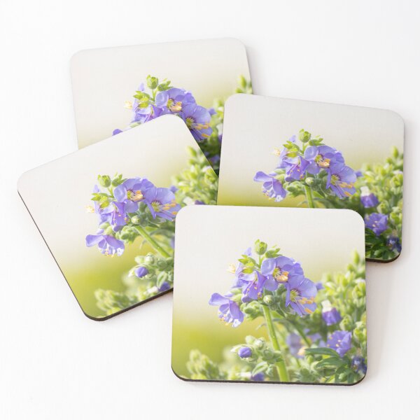 Item preview, Jacob's ladder - Polemonium caeruleum - sky-blue flowers  designed and sold by Kate1art.
