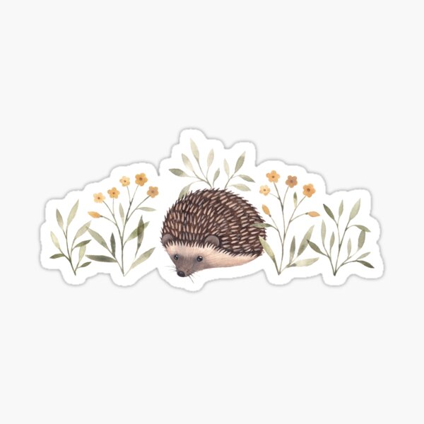 Little Hedgehog Sticker