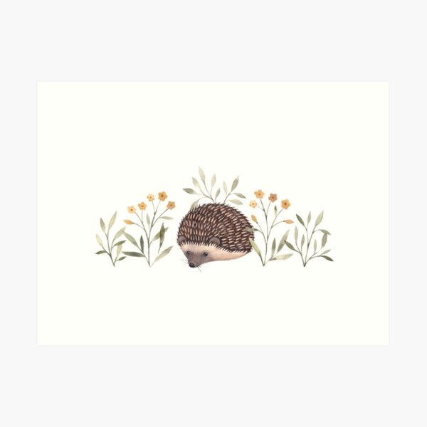 Little Hedgehog Art Print