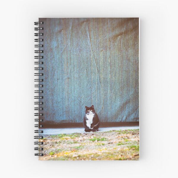 Item preview, Bicolor kitty designed and sold by Silvia Ganora.