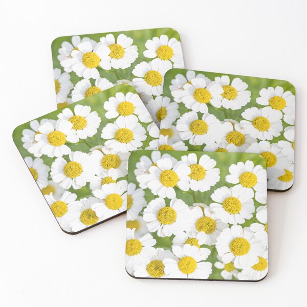 Item preview, Chamomile flowers  designed and sold by Kate1art.