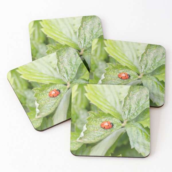 Item preview, Strawberry leaves and ladybug  designed and sold by Kate1art.
