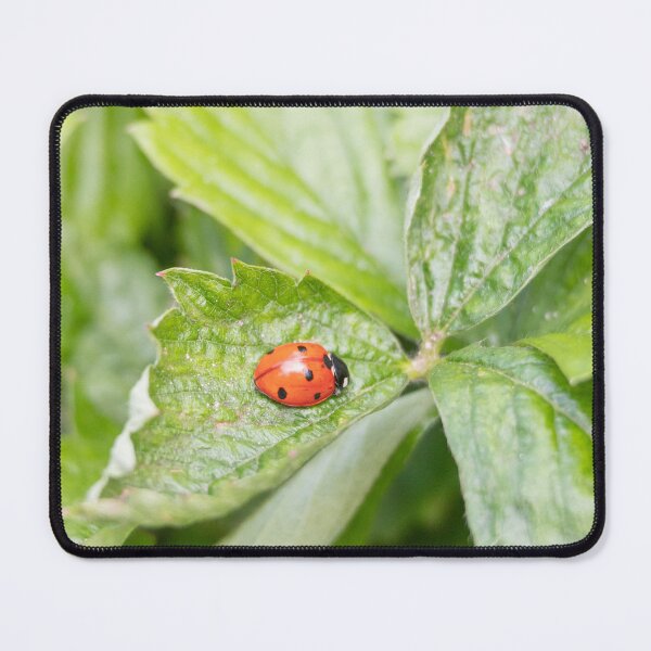 Item preview, Strawberry leaves and ladybug  designed and sold by Kate1art.