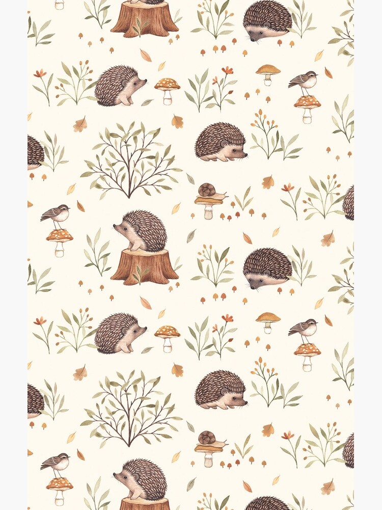 Little Hedgehog by NinaStajner