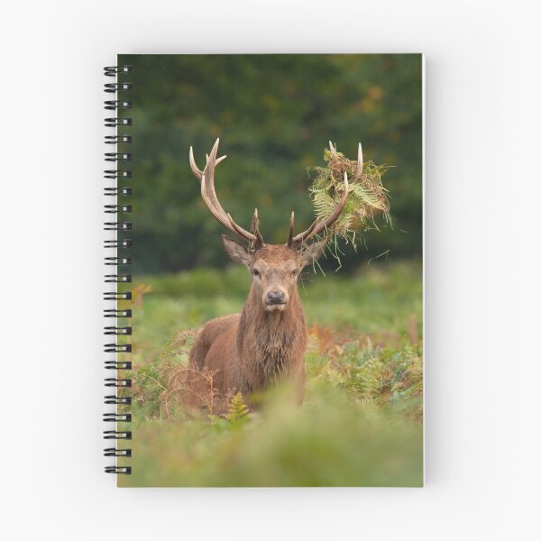 Item preview, Staggering designed and sold by jobrownphotog.