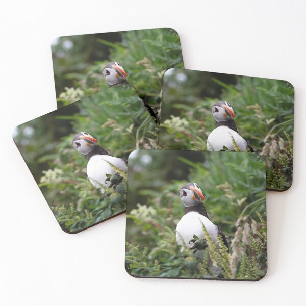 Item preview, Curiosity designed and sold by jobrownphotog.