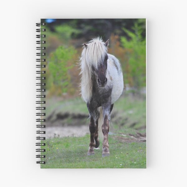 Item preview, Majestic Colt designed and sold by Karen Peron.