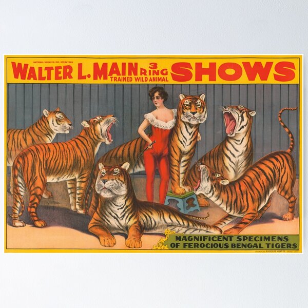 Item preview, STK501894A-Vintage circus poster of a woman with six tigers. designed and sold by StocktrekImages.