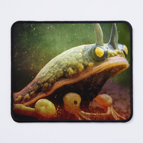 Item preview, XENOS III - AN ALIEN CREATURE designed and sold by Clifford Hayes.