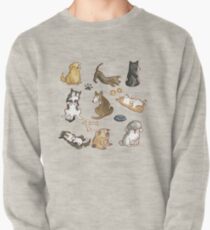 Puppies! Pullover