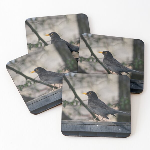 Item preview, Mr Blackbird designed and sold by StelleryART.