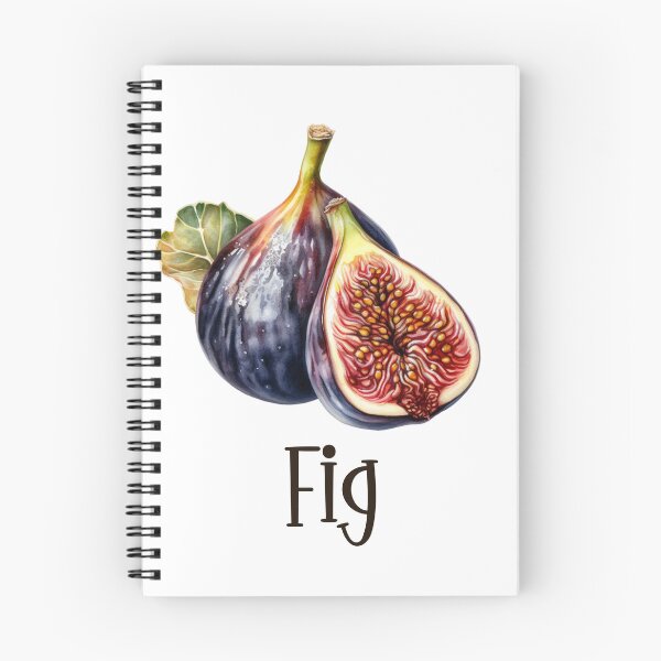 Item preview, Watercolor Illustration of Fig  designed and sold by Sketch-Shack.