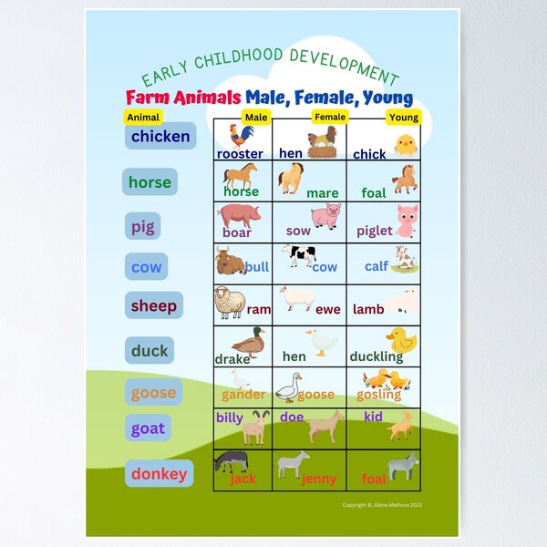 Vista previa del artículo con la obra «Pósteres para el aula Animales de granja Masculino, femenino, joven y otros Suministros y regalos de aprendizaje para la escuela/el hogar», diseñado y vendido por AlonaM.