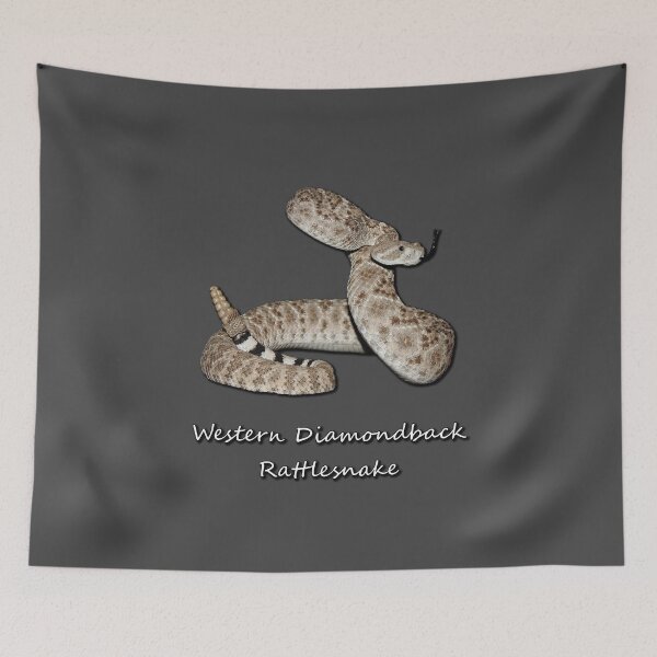 Item preview, Western Diamondback Rattlesnake designed and sold by Paul-Prints.
