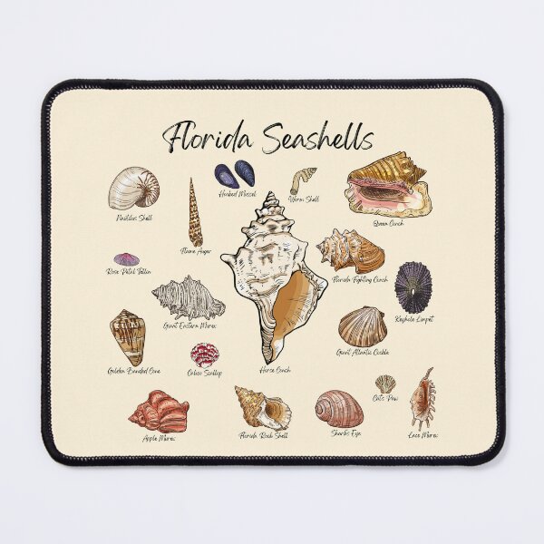 Item preview, Florida Seashells designed and sold by bareilly099.